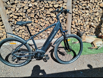 What to Look for When Buying an Ebike