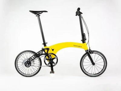 Electric bike with Unique design