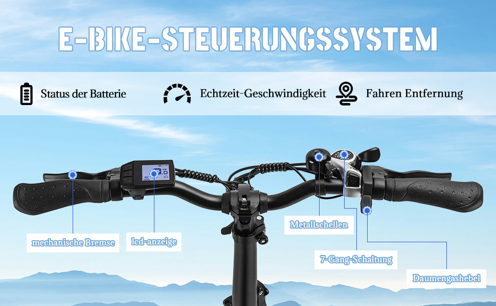 20F213 E-BIKE 250W 80n.m Motor electric bike for commuting and mountain ride