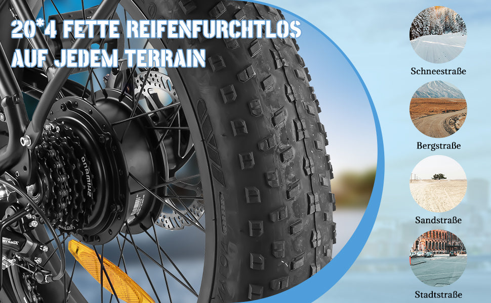 20F213 E-BIKE 250W 80n.m Motor electric bike for commuting and mountain ride