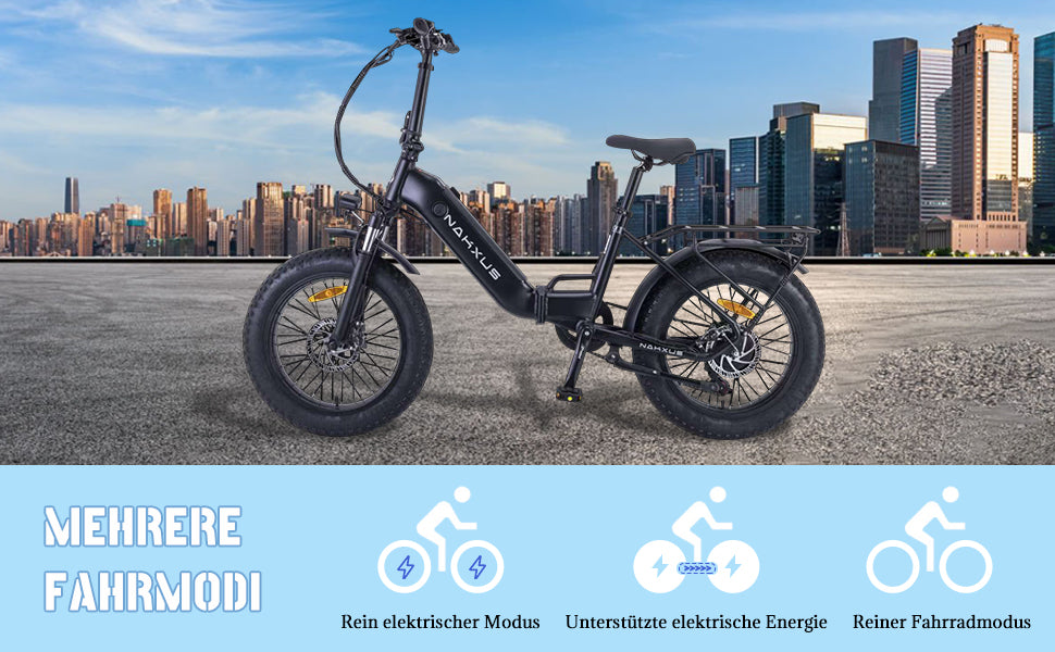 20F213 E-BIKE 250W 80n.m Motor electric bike for commuting and mountain ride